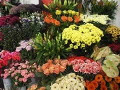 florist seasonal choice