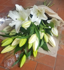 white lily bouquet