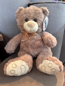 Brown Bear